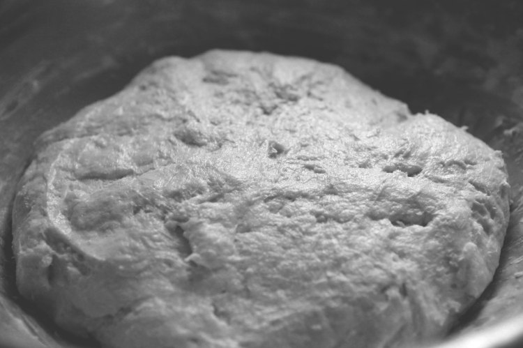 Rising dough