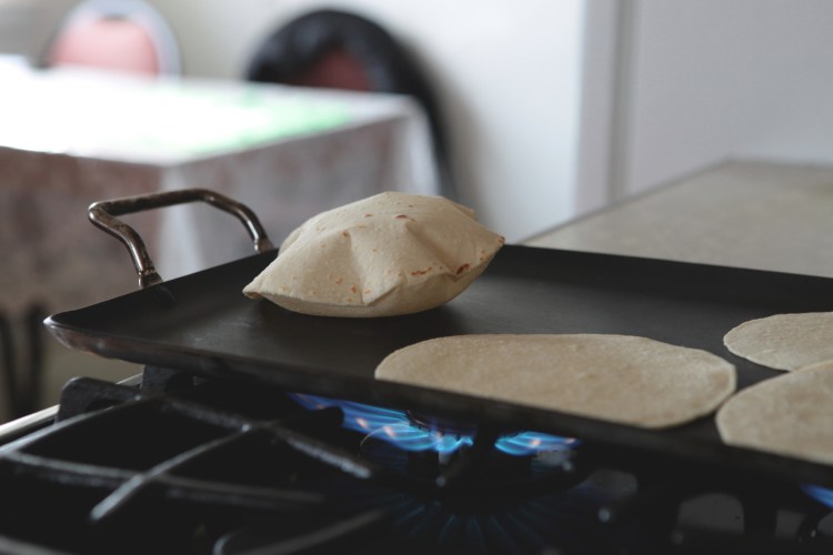 brandy somers tortilla18