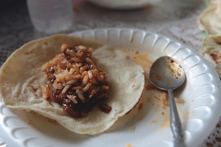 brandy somers tortilla46