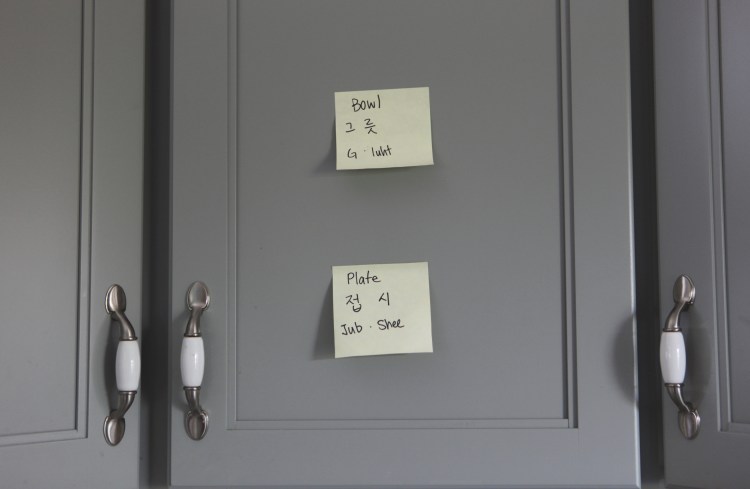 International Sushi Day with Ha37