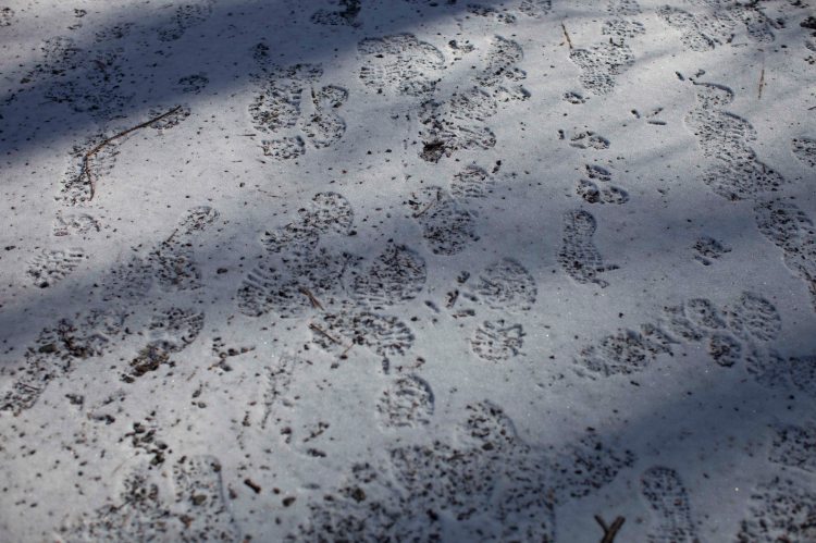 fcl Rose River Falls3