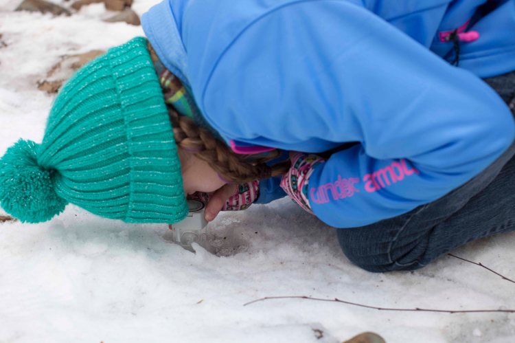 fclWhiteoak Canyon14