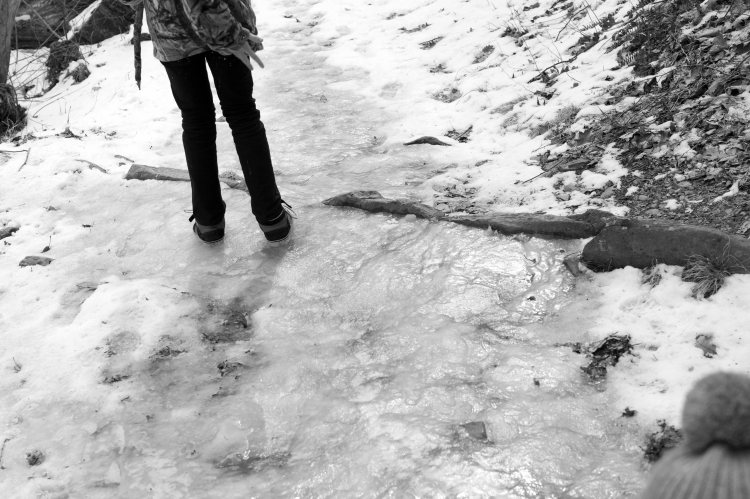 fclWhiteoak Canyon16