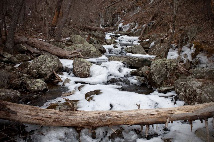 fclWhiteoak Canyon30