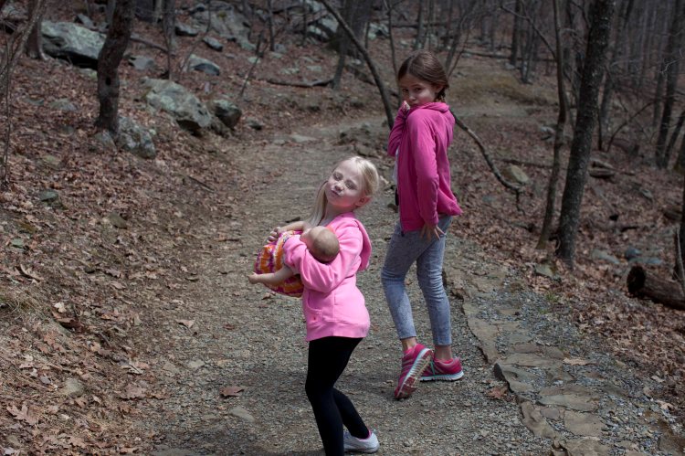 bsomeDark Hollow Falls01