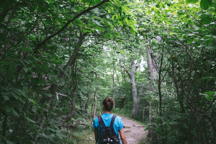 photo by Danielle Campbell