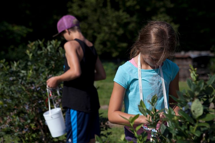 Ratliff Blueberry_IMG_8418