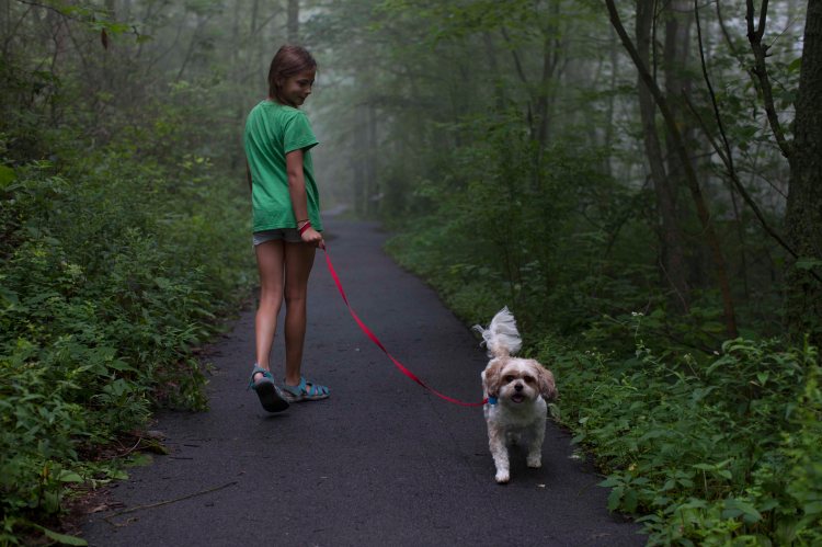 Storybook_Trail_IMG_6599