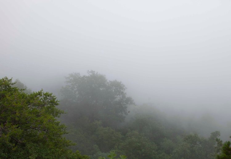 Storybook_Trail_IMG_6609