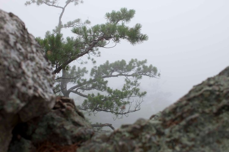 Storybook_Trail_IMG_6639