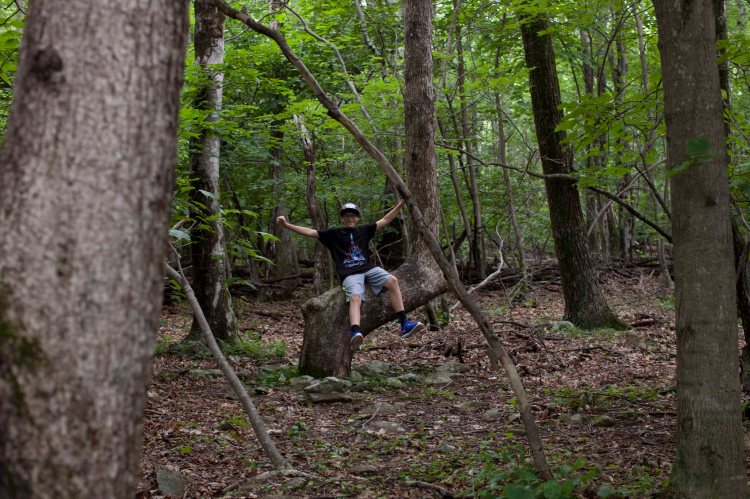 Whiteoak_Canyon_IMG_6299