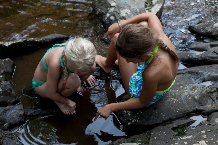 Whiteoak_Canyon_IMG_6357