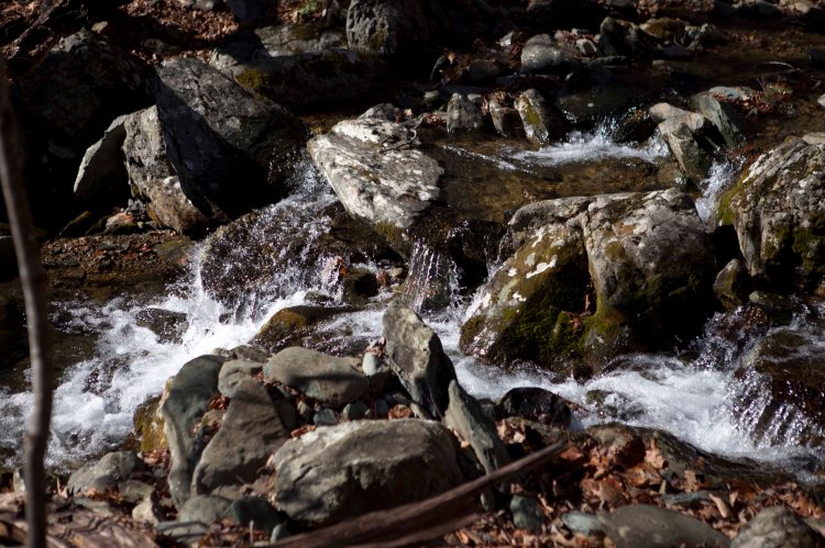 bsomeCedarRun_IMG_7186