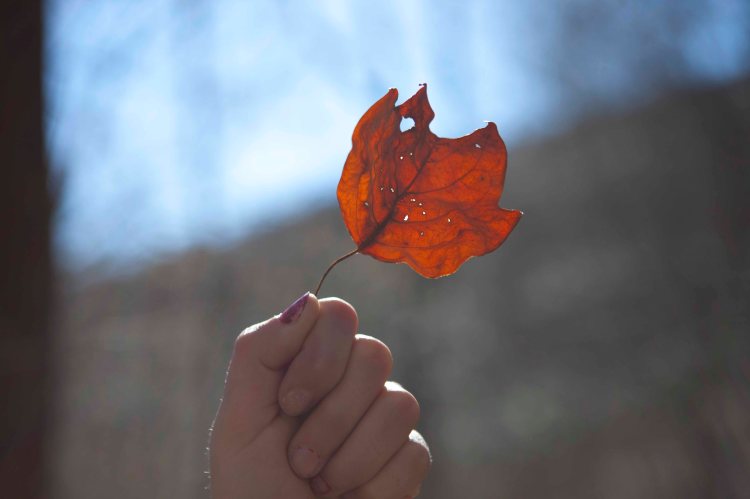 bsomeCedarRun_IMG_7288