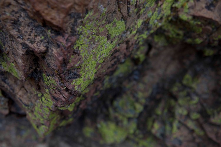 bsomeMiseryRidge_IMG_4872