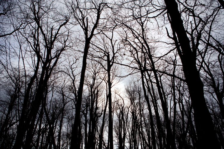 bsomeOverallRunFalls_IMG_9059