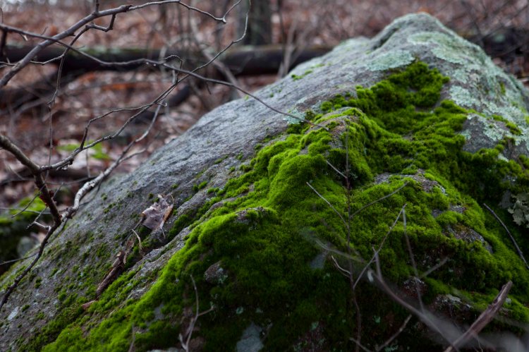 bsomeOverallRunFalls_IMG_9064