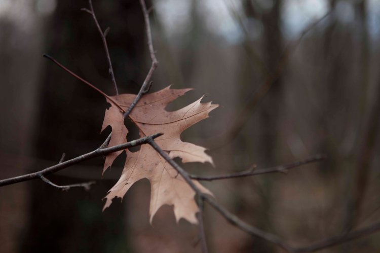 bsomeOverallRunFalls_IMG_9090